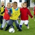 Дитячий футбол основні проблеми – «Ваше все» футбол