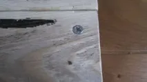 декор
