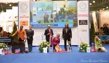 работа какво