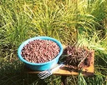 повече повече градини