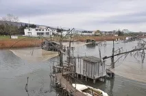 емиграция Черна гора