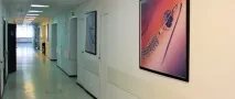 филатов руски