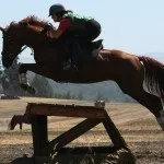 спортен благороден