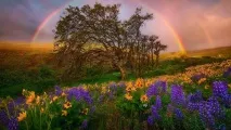 Фото веселки, кольору веселки та фотографії подвійної веселки фотографії