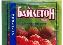 Фунгіцид для обробки винограду нові препарати, схема застосування обробки