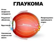гімнастика