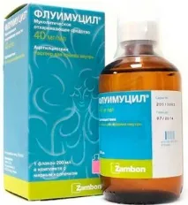 кашлица подробни