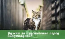 преди преди