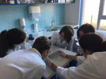 International School, Cambridge International School and Examinations international