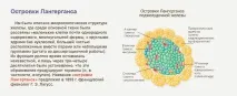 какво какво
