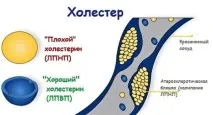 хапчетата холестерол