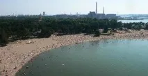 финският