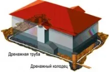 прилежаща всички