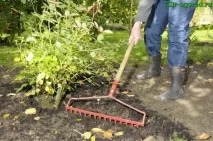 Як підготувати грядки до зими грядки