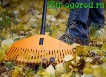 Як підготувати грядки до зими зими
