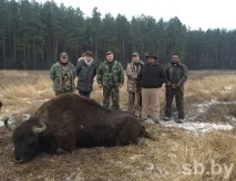 Як і хто полює на зубра у Білорусі «Озери