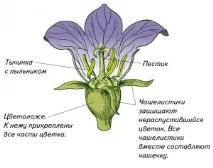 трябва