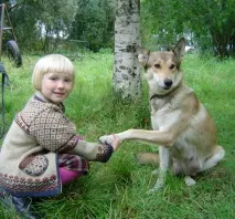 медикаменти