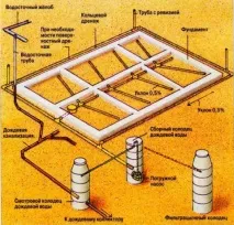 всички всички