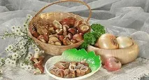 гриби