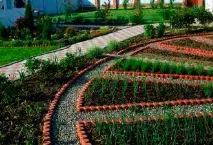 Як зробити городні грядки красивими Блог, «Мрійно» - будівництво заміських будинків під ключ грядки