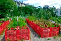 Як зробити городні грядки красивими Блог, «Мрійно» - будівництво заміських будинків під ключ мрійно