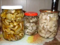 гриби