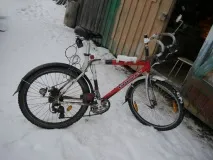 звезда овална