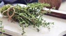 Як зберігати чебрець у домашніх умовах чебрець