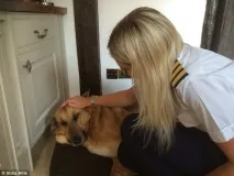 Як керує літаком жінка-пілот - НОВИНИ У ФОТОГРАФІЯХ жінка-пілот