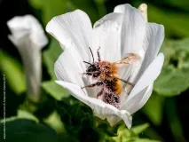 fotojoin