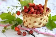 захар захар