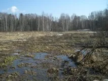 Навіщо сниться болото і бруд розшифровка снів різними сонниками снів