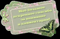 котка песен