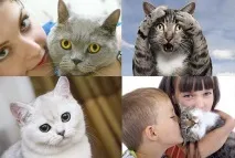 Котячий лишай у людини зараження