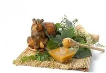 кориандър кориандър
