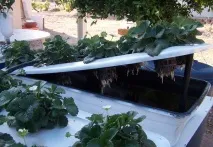 руками