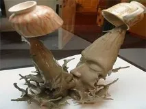 Кавова кантата чи любов до кави. любов