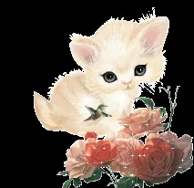 котка приспивна