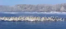 колективна работа