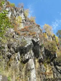 куди