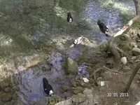 седем седем