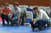 спечелихме къща