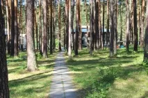 Междувременно няма нужда Междувременно няма