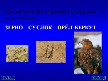 зона следната