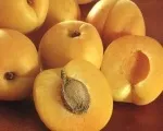 народними
