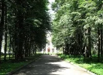 литвиново московска