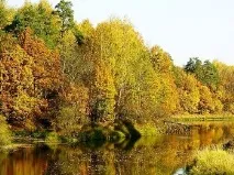 ловля