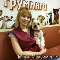 котки курсове