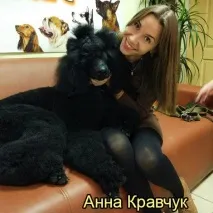 кучета кучета